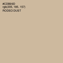 #CDB99D - Rodeo Dust Color Image